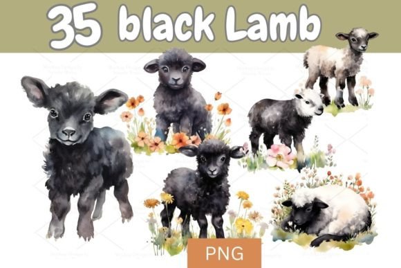 Download Digital Set of 35 Black Lamb PNG 725 - Lamb png Collection